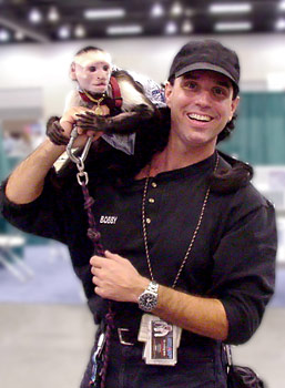 Dr. Irving likes to sit on trainer Bobby Manheim's shoulder.