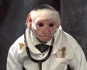 doctor Irving, a white-faced capuchin money, has helped bring joy to children in need.